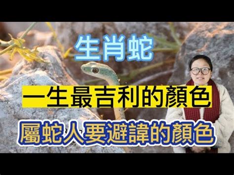 金龜擺放|金龜何時現身？風水師揭秘